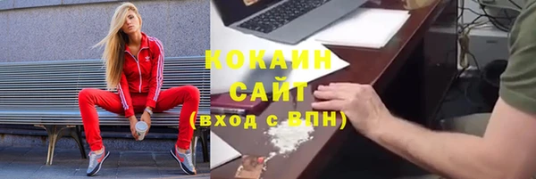 ГАЛЛЮЦИНОГЕННЫЕ ГРИБЫ Санкт-Петербург
