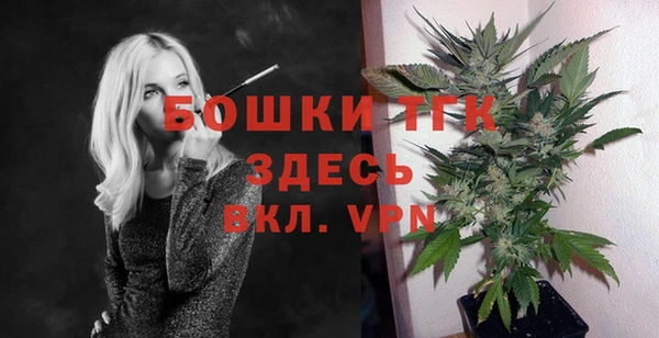 индика Лагань