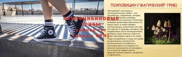 индика Лагань