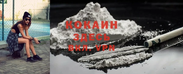 индика Лагань