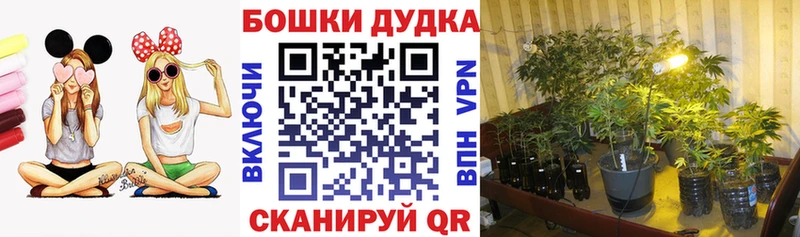 Бошки Шишки конопля  shop формула  Осташков 